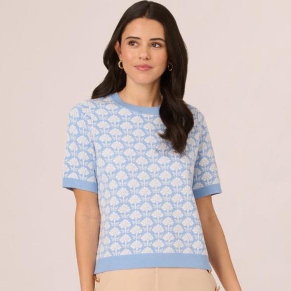 NWT Adrianna Papell Jacquard Blue and White Short Sleeve Sweater Size Large - Picture 1 of 7